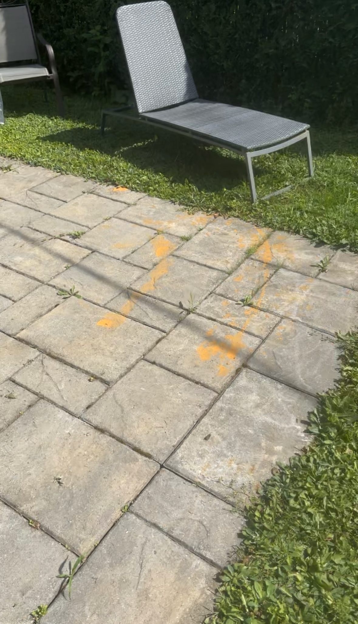 Pavé avant traitement
